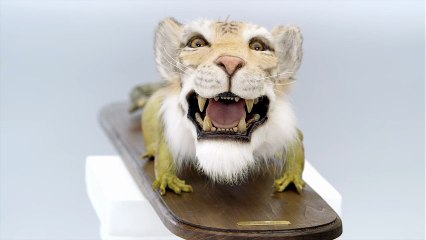 Le Volkswagen Tiguan, croisement d’un tigre et d’un iguane