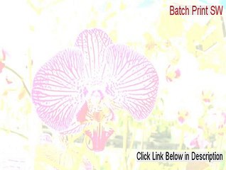 Batch Print SW (2014) Crack [Download Here 2015]