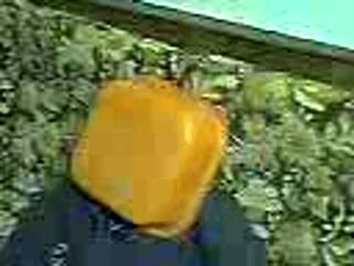 Soirée chez vins 3 Euu def...