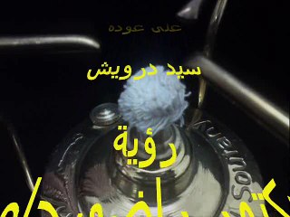 السبرتو - سيد مكاوى على العود