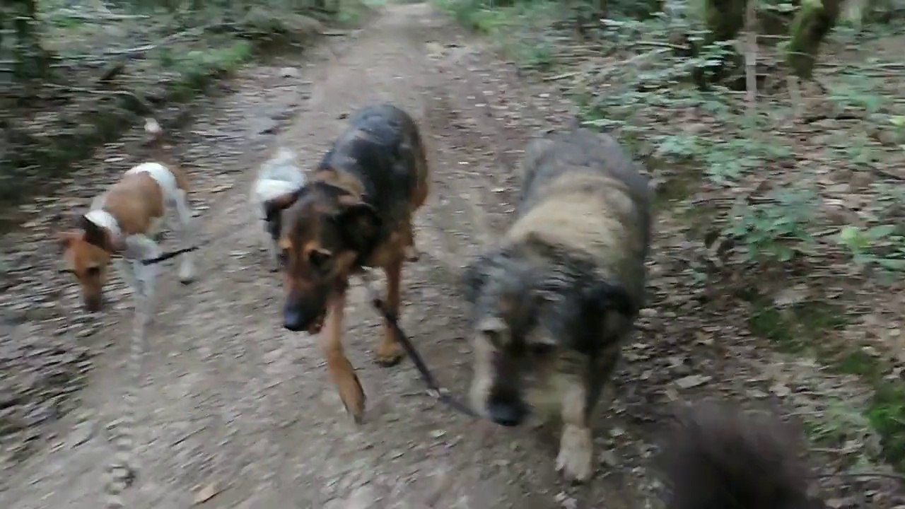 Le Rakuen promenades 2014-08 Gadjo & Naila HD