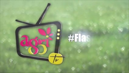 Le #FlashAgri85 du lundi 9 février 2015