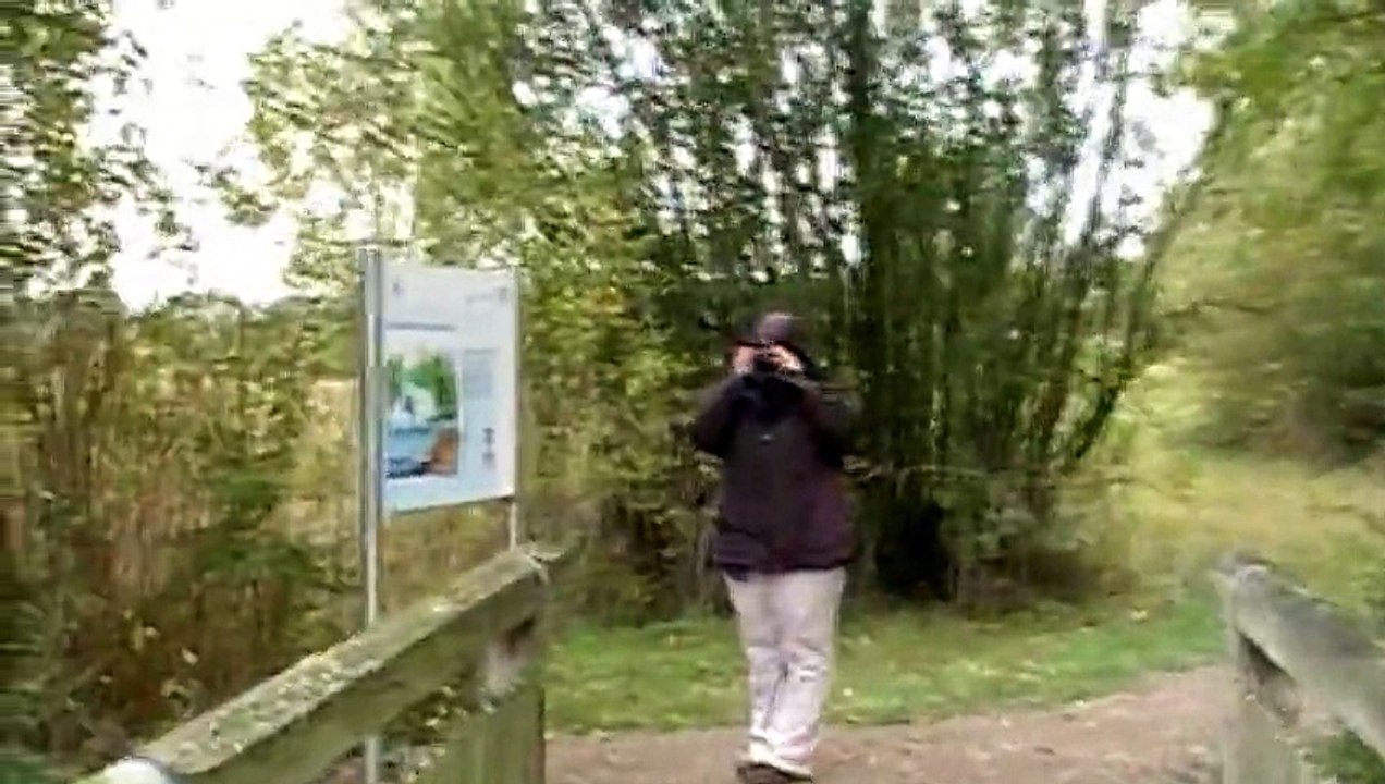 Vogelinsel im Altmühlsee