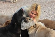 Yaralı Köpeği Barınağa Bırakmak İsteyen Hayvansever Sibel'i Ağlattılar