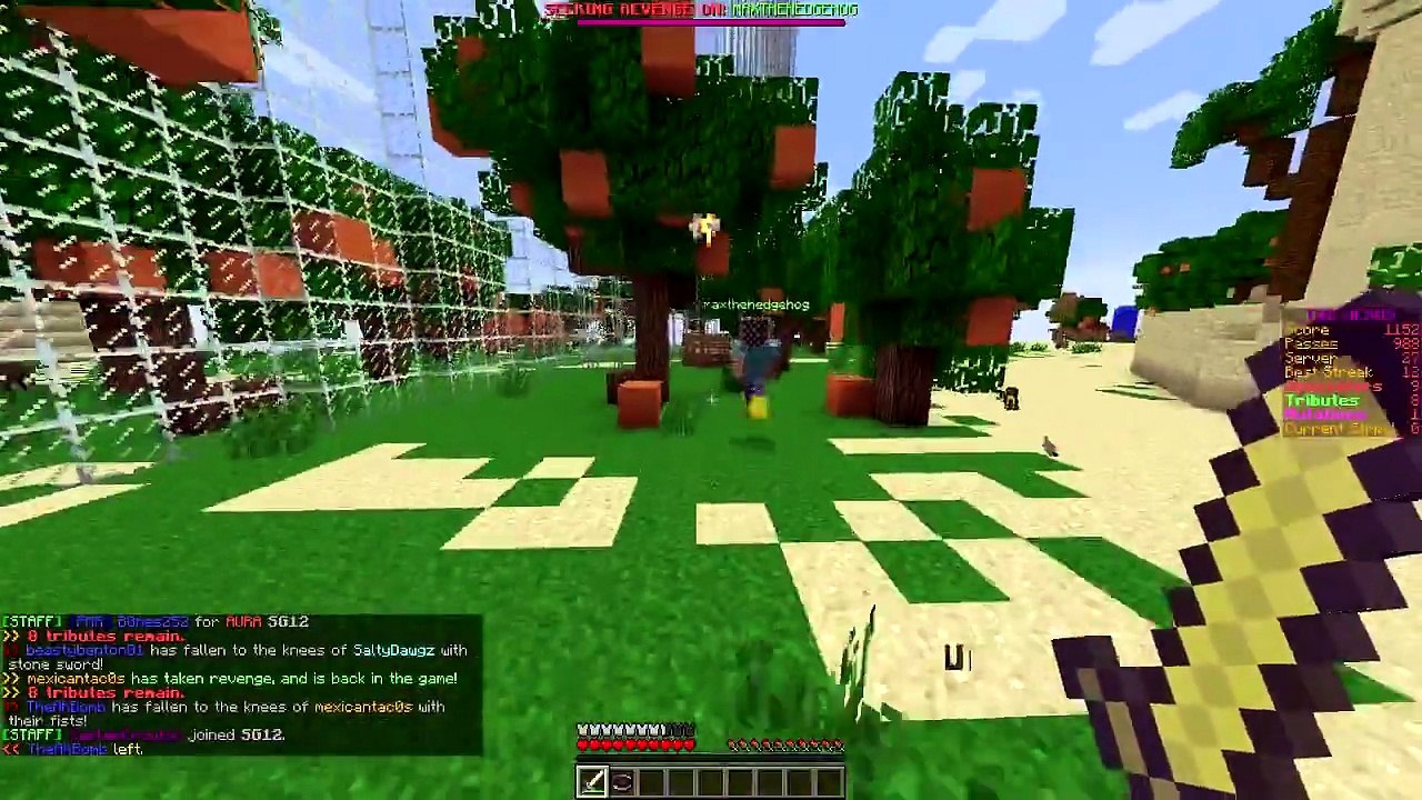 Minecraft- Hunger Games w-Mitch! Game 558 - EPI...