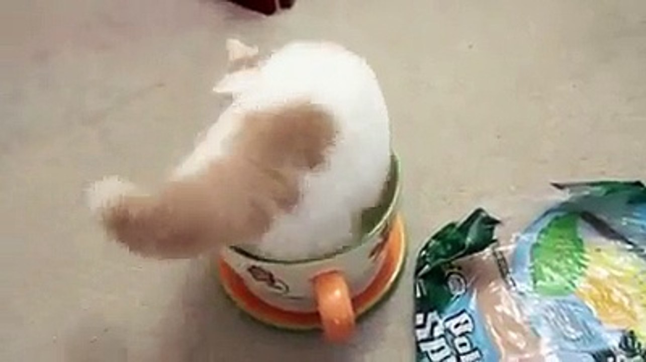 bili ka bacha