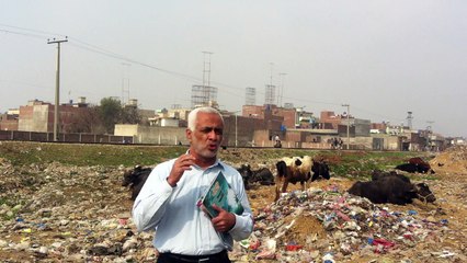 What Killed All the Vultures of Pakistan?