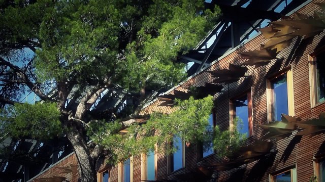 Windwalkers (La Horde du Contrevent) - Explications sur le gameplay