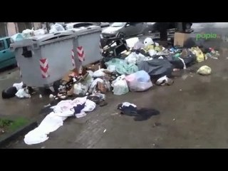 Aversa (CE) - Rifiuti in Piazza Marconi, ma la videosorveglianza c'è? (09.02.15)