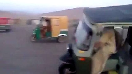 what is the name of this game do you know.