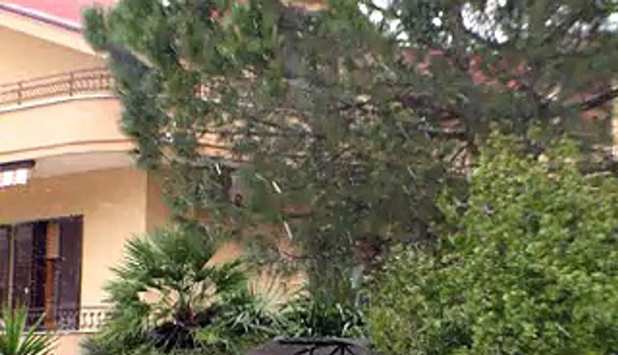 HDV_0212_WMV V9 - neve parte 2