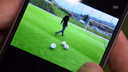 Arsenal football club buys Swiss fake grass