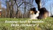 Miniature DailyMotion