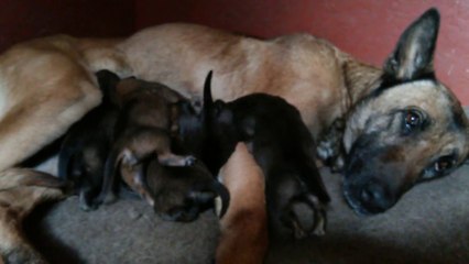 Be Aware H's @ Strong Will - Part 1