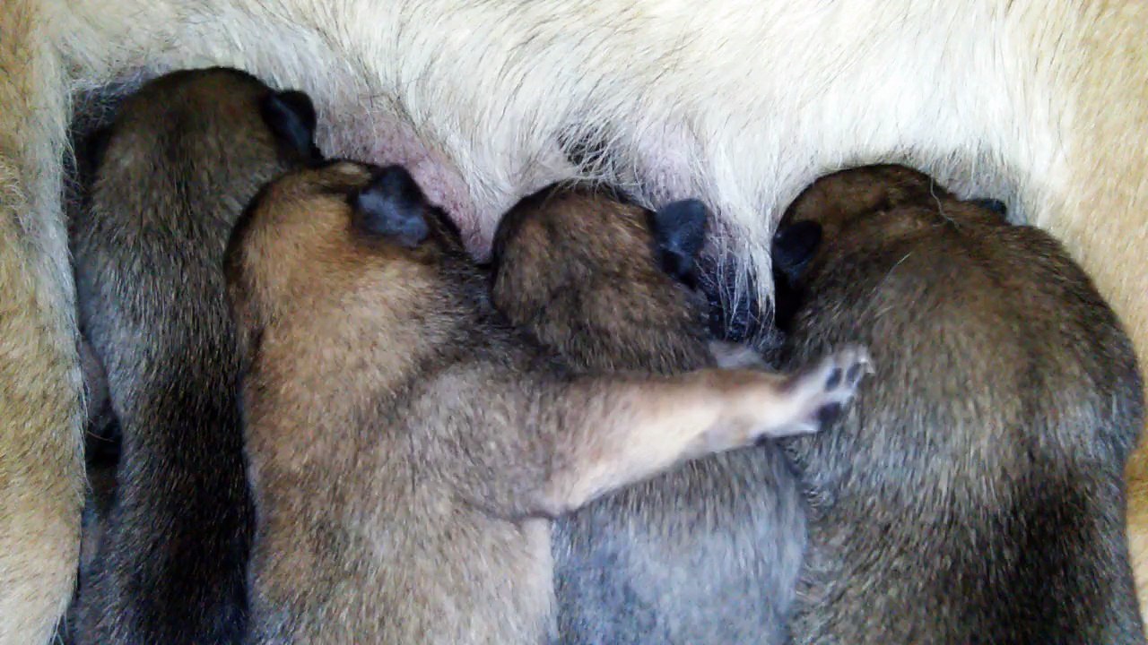 Be Aware H's @ Strong Will - Par 2