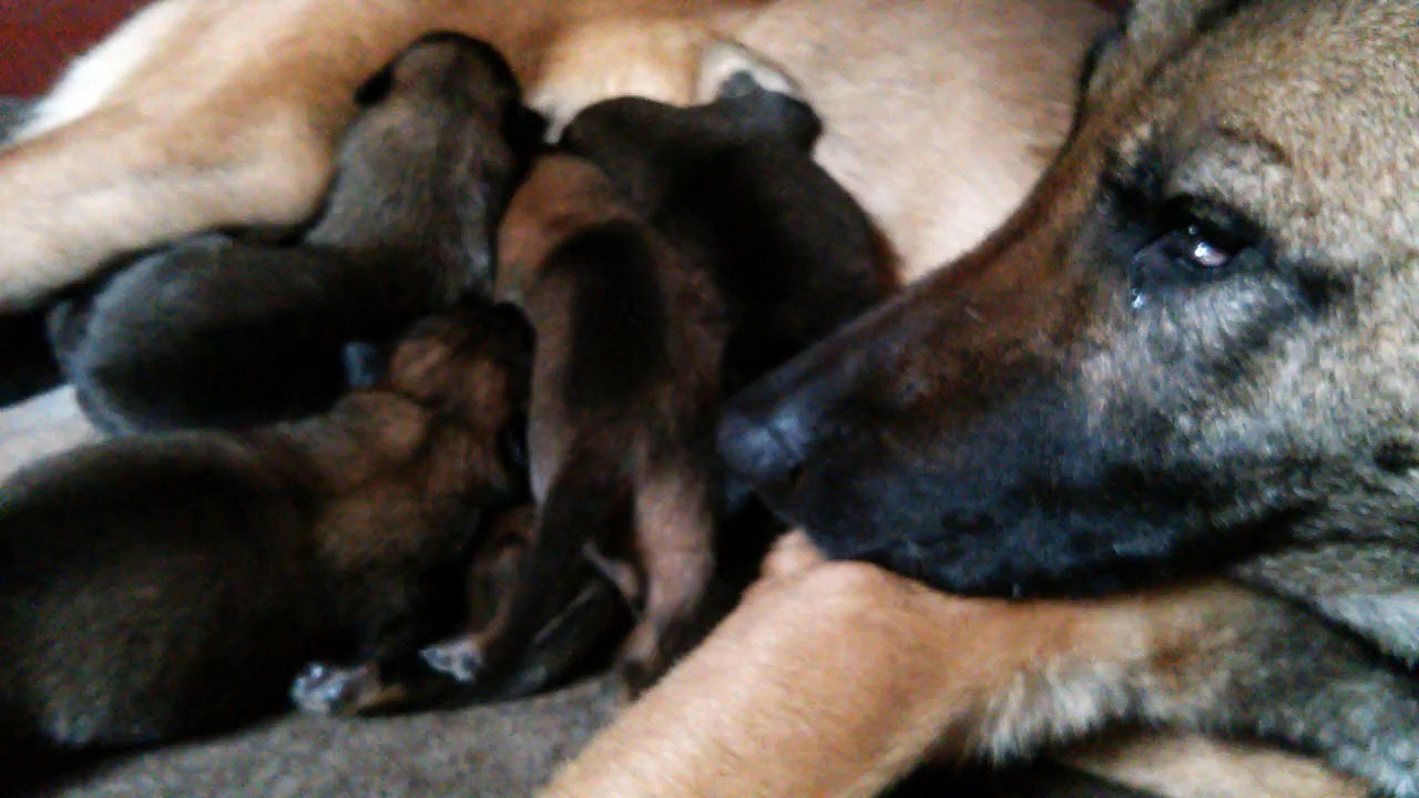 Be Aware H's @ Strong Will - Part 3