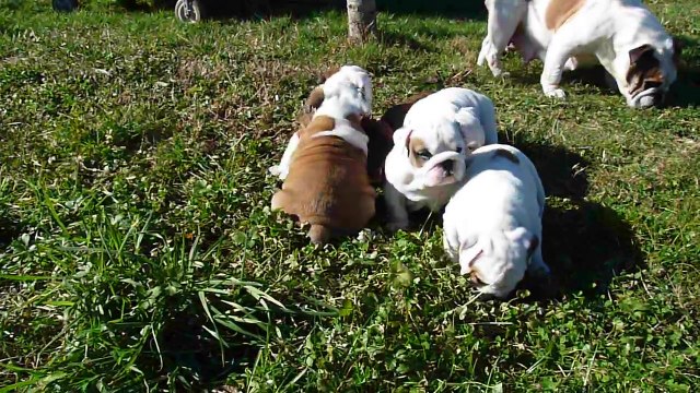 5 semaines première sortie