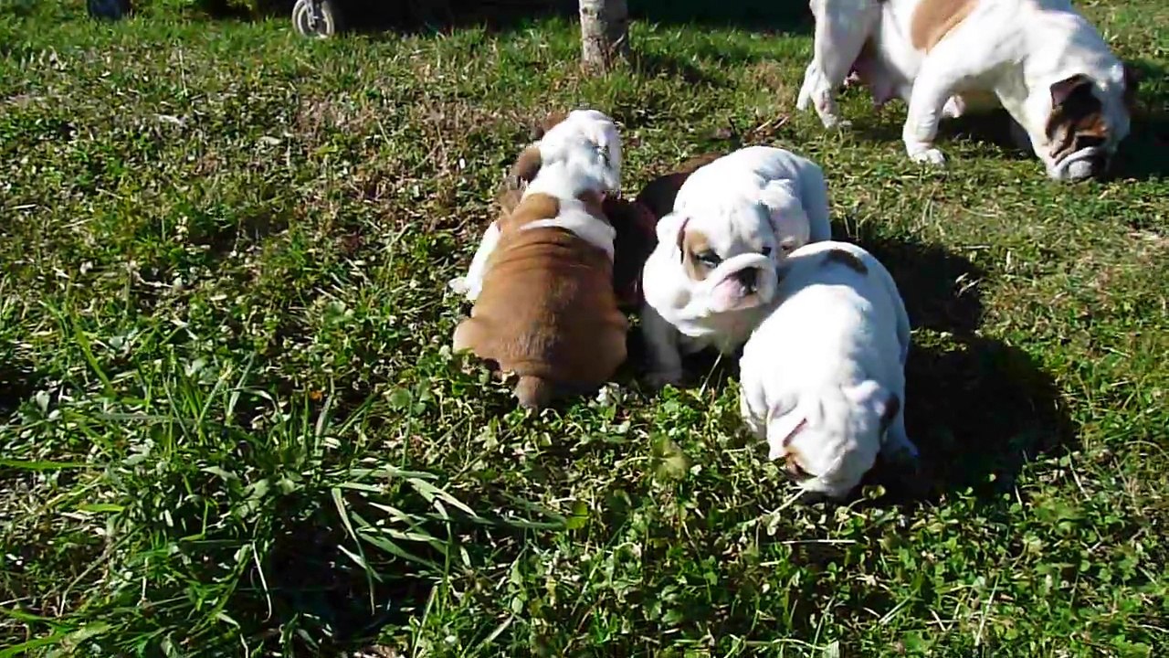 5 semaines première sortie