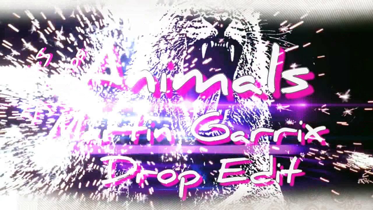 Animals - Martin Garrix (Drop Edit)