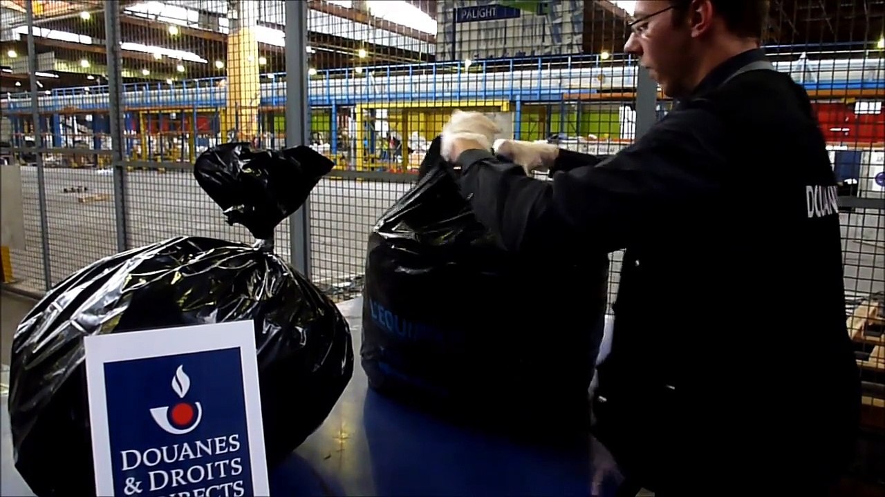 saisie d'hippocampes douanes Roissy