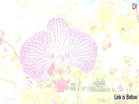 Dr.Web Security Space Keygen (Instant Download)