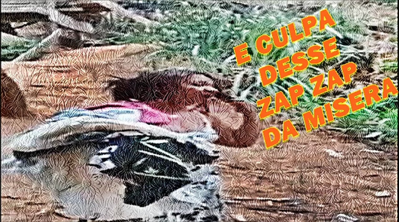 E CULPA DESSE ZAP ZAP GENTE