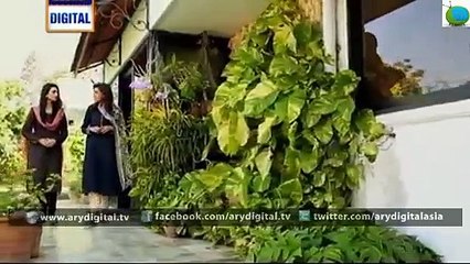 Dil Nahi Manta Episode 12 - 31st January 2015