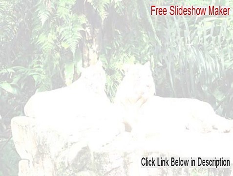 Free Slideshow Maker Key Gen (Download Now)
