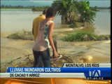 Fuertes lluvias inundan cultivos de cacao y arroz en Los Ríos