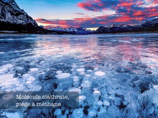 Le méthane : d'où vient-il et quel est son impact sur le climat ?