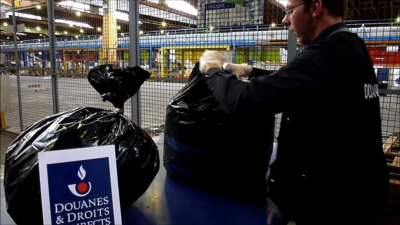 Roissy : les douanes saisissent 19 000 hippocampes déshydratés