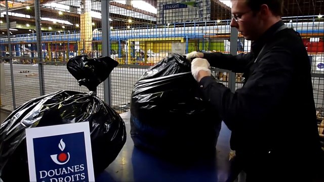 Les douanes de Roissy saisissent 19.000 hippocampes