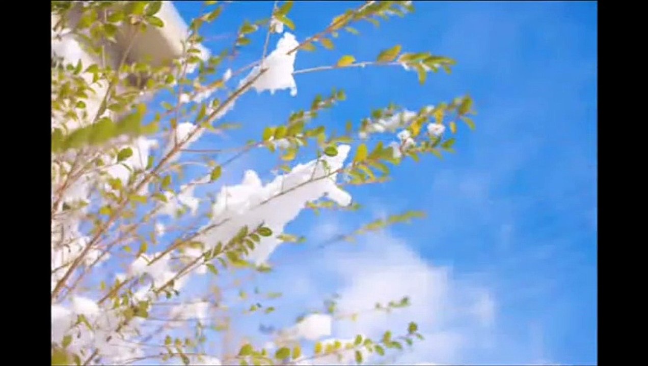 襟裳岬