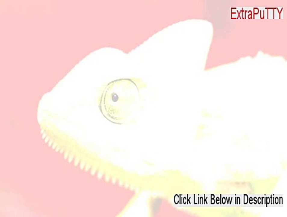 ExtraPuTTY Download Free [extraputty script]