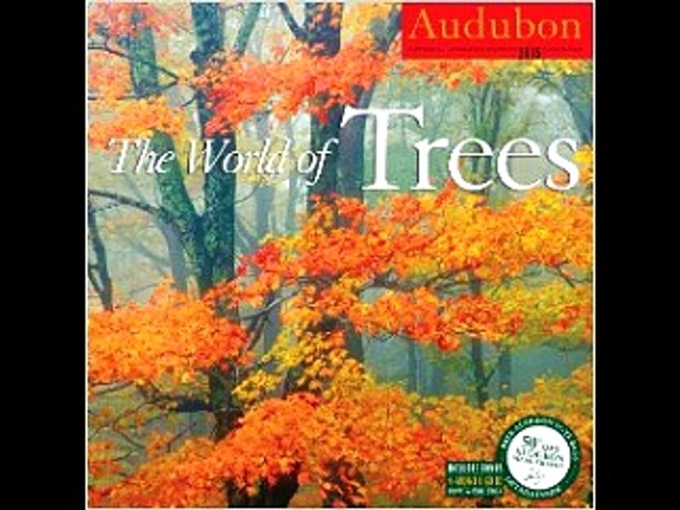 Audubon the World of Trees Calendar 2015 National Audubon Society