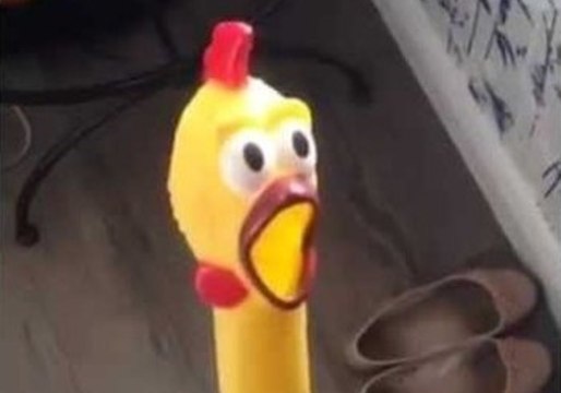 Man Scares Mum With Rubber Chicken