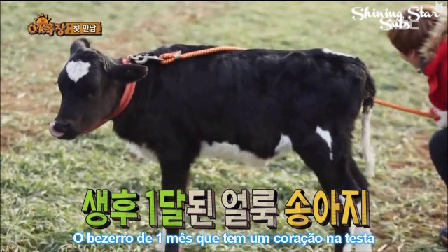 [Cut Eunhyuk] 150125 Animals - Ep.1 [Legendado PR-BR]