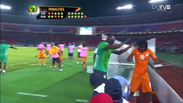 Coupe d'Afrique des Nations - Le gardien Boubacar Barry offre le titre à la Cote d'Ivoire
