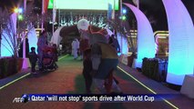 Qatar 'will not stop' sport drive after World Cup