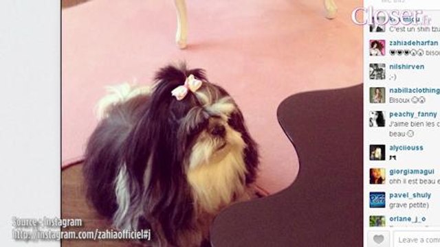 What's up sur les réseaux sociaux ? Zahia joue les Brigitte Bardot