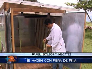 Ingenioso invento convierte residuos de piña en bellas artesanías