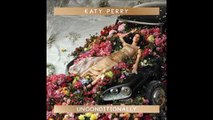 Cover Unconditionally (Instrumentale)(Katy Perry)