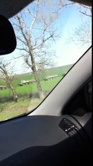 Ruska vojska u poljima, 8km daleko od granice sa Ukrajnom