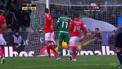 Campeonato Sportinguista -  à Lá Gato Fedorento