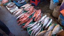 Documentary: Jagalchi Fish Market, Busan, South Korea