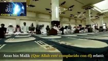 Islam Errores durante la oración 11 Sed moderados en la postración