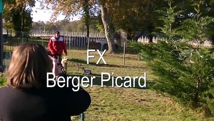 Une vidéo en hommage à FX, Berger Picard