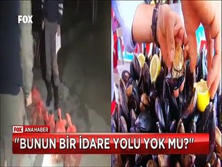 Midye Kaçakçısının Jandarmayla Bunun bir idare yolu yok mu pazarlığı