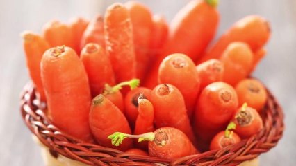 The Best Healthy Snacks for Your Road Trip