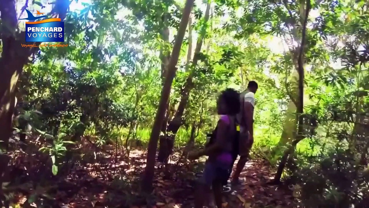 Carnet de voyage Miami Orlando